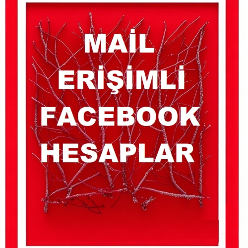  MAİL ERİŞİMLİ FACEBOOK HESAPLAR